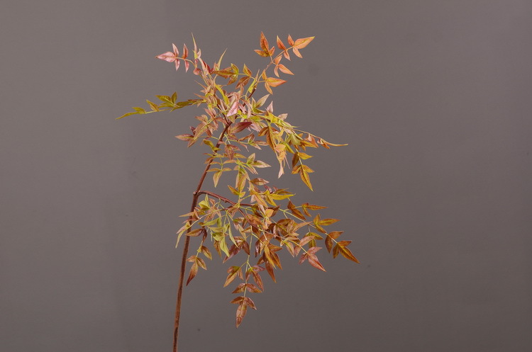 Dongli Source Factory, wholesale and direct sales of artificial plants in stock, wholesale of India leaves, autumn color leaves, hand-held flowers, leaf materials, props, flower art, bonsai, home decoration flowers pic 16