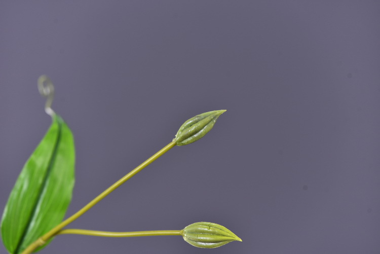 Lanjin artificial Plant Long Branch 3-head Jialan Flame Lily, high-end artificial flower, artificial flower, artificial flame lily, strange lily, home decoration pic 18