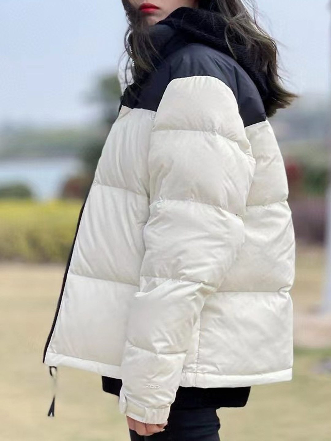 现货北脸面TNF1996羽绒服350克90绒芯片美版700刺绣男女款外套潮详情11