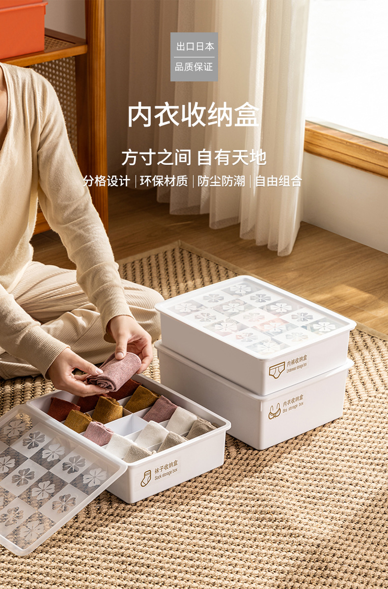 Underwear storage box with compartments and LIDS, combination bra, socks and underpants, student home dormitory organization wonder storage box 0750 pic 1
