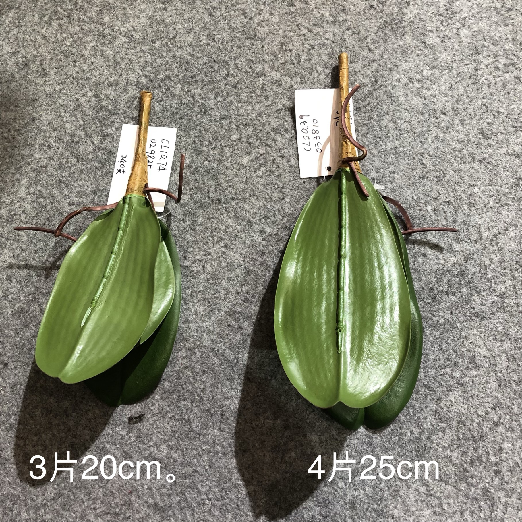 Simulated tiger skin lily, desert plant, simulated agave, single tiger skin lily, yellow-edged tiger skin lily, Phalaenopsis leaves pic 15