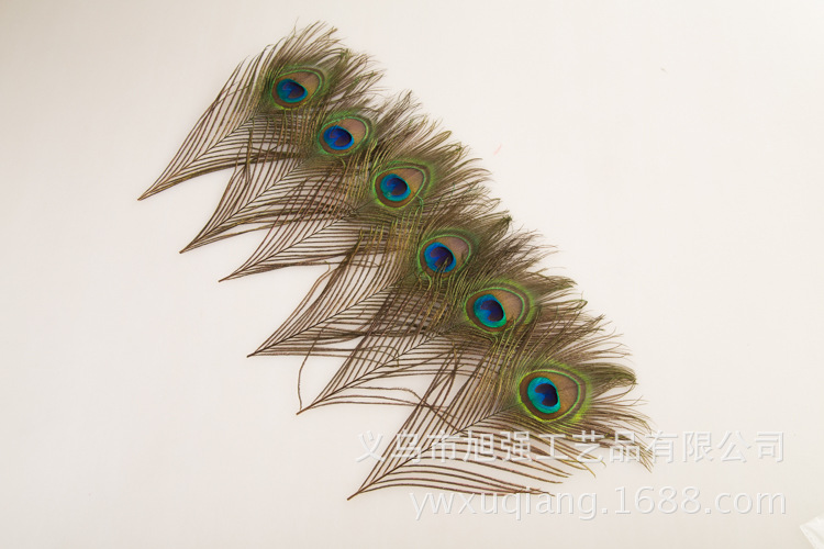 现货批发25-130cm孔雀羽毛 天然大眼睛孔雀毛diy手工饰品头饰装饰详情17