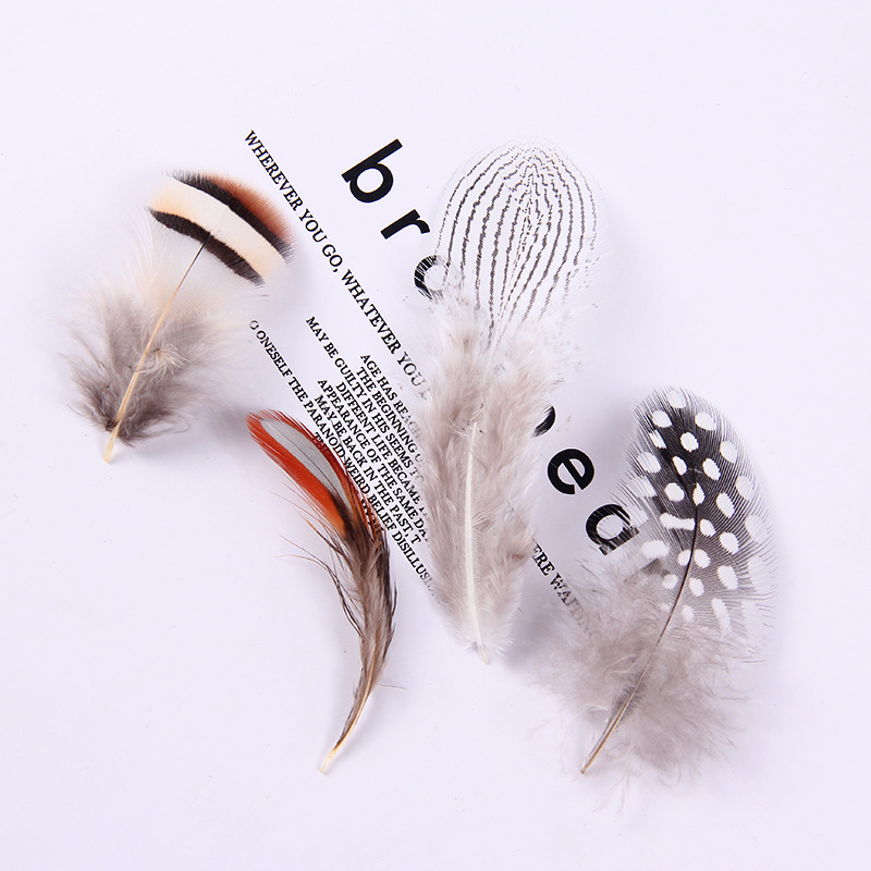 厂家批发珍珠鸡毛彩色羽毛 服装DIY手工工艺品饰品耳环材料野鸡毛详情36