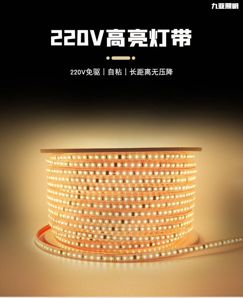 New indoor and outdoor waterproof light strips, 220V high-voltage LED light strips without driver, self-adhesive ultra-bright soft light strips pic 1