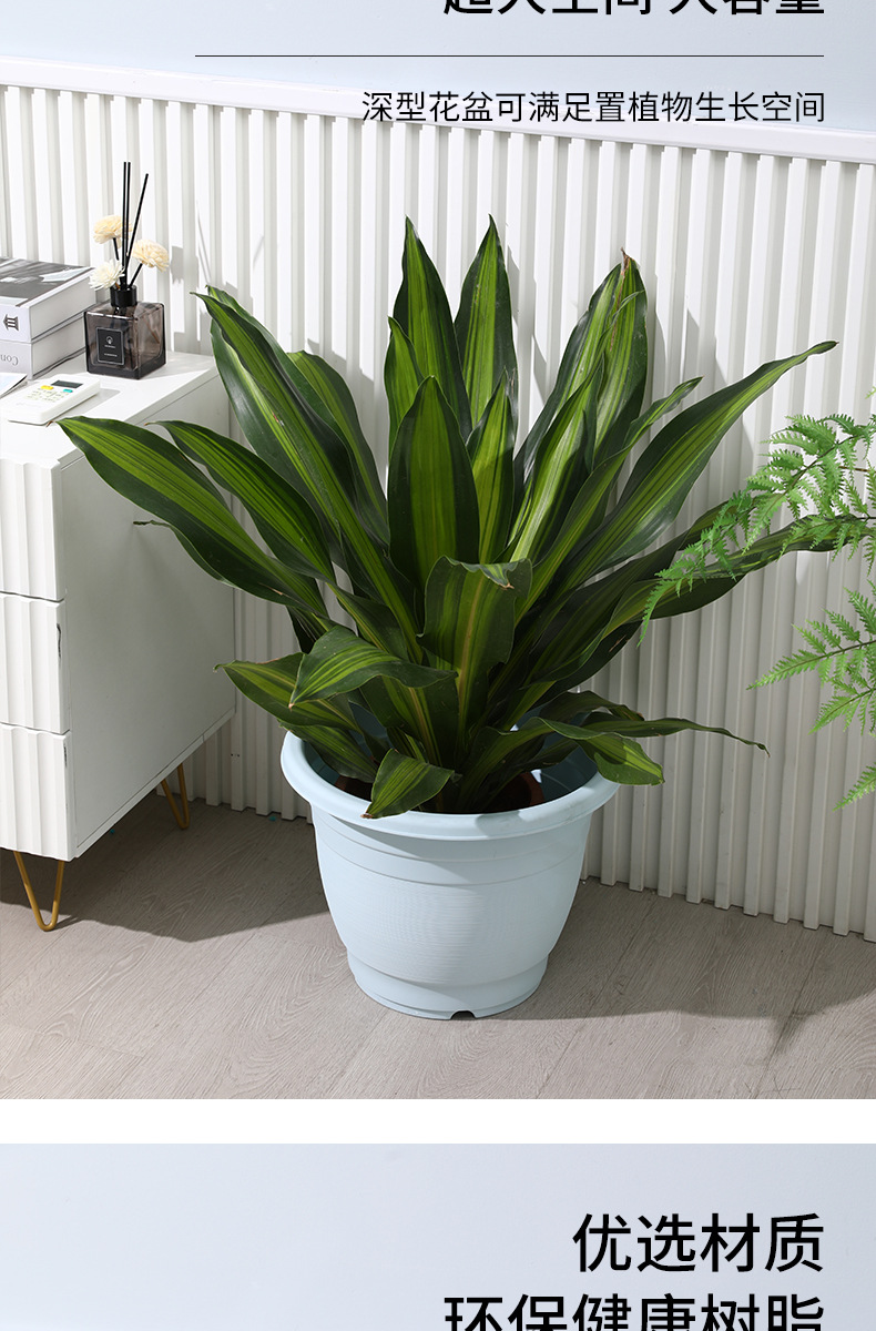 新款马卡龙pp树脂花盆控根深大号塑料仿陶瓷绿萝加仑盆北欧简约盆详情12