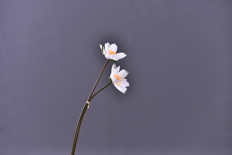 Wholesale manufacturer of artificial water lilies, direct sales of artificial flowers for wedding, home, hotel and homestay soft furnishings, artificial flowers, and photography props pic 15