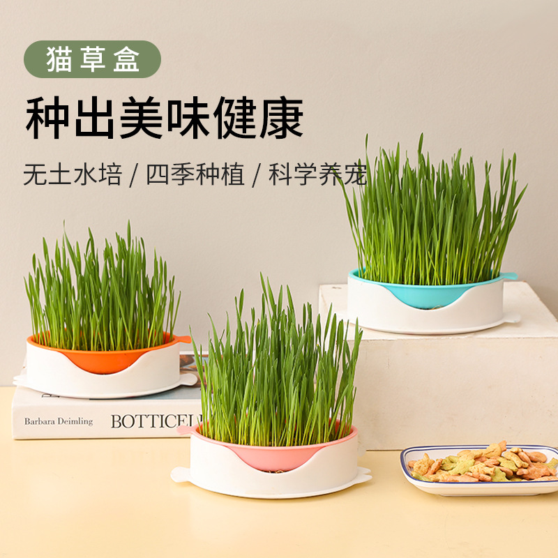 Cross-border cat toys, four-layer cat carousel, self-entertaining and entertaining cat toys, interactive cat toys, pet supplies factory pic 3