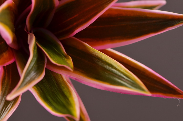 Dongli Factory direct sales, wholesale of artificial flowers, purple mist grass, purple dew grass, home decoration, artificial living room model rooms, artificial flower ornaments, one-piece consignment pic 23