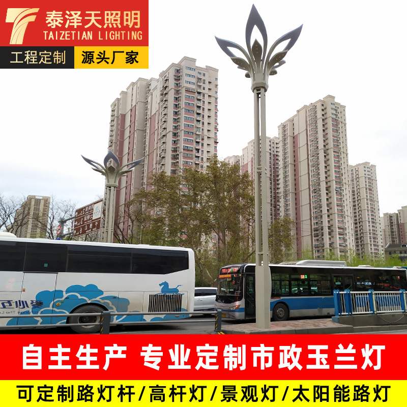 厂家批发防水户外景观公园led路灯 小区照明特亮3米太阳能庭院灯详情3