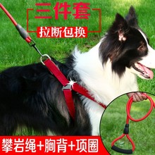 亚马逊宠物胸背带背心式狗狗牵引绳反光狗带猫咪牵引狗链子狗绳子详情29