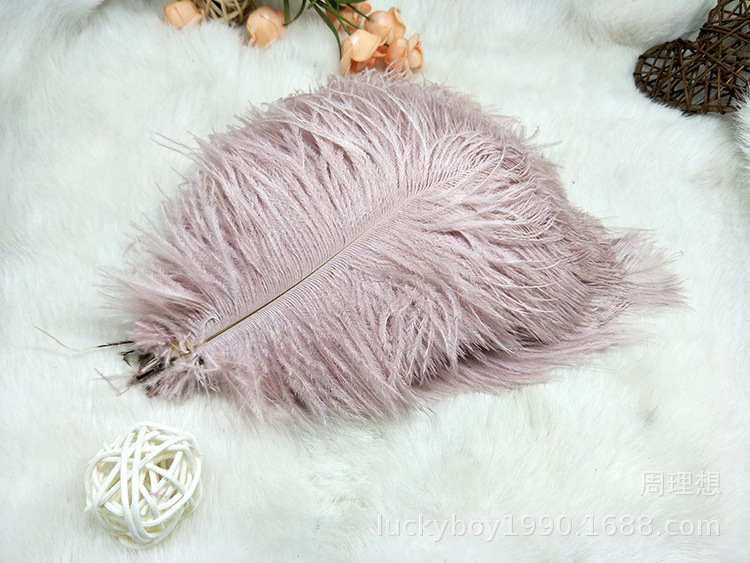 Colorful ostrich feathers 15-20cm, mask feathers, DIY accessories, wedding decoration props, ear-picking accessories, colorful feathers pic 38