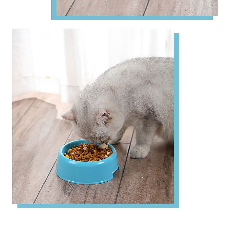Pet feeding bowl, candy-colored round-mouthed plastic pet dog bowl, multi-color lightweight cat food bowl, single pet bowl pic 10