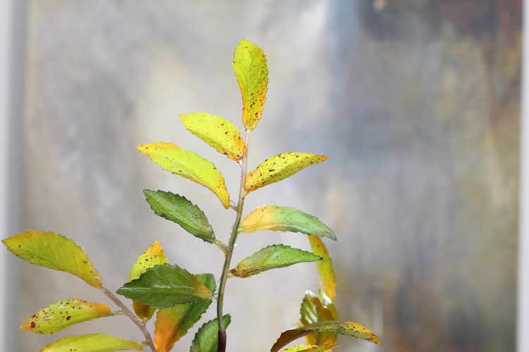 Dongli Factory direct sales, wholesale of olive leaf branches, artificial leaves, artificial leaves, Ins-style interior decoration, flower arrangement plants, wall accessories, artificial green plants pic 20