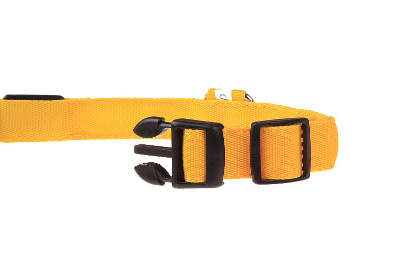طوق أليف أليف (LED) كلب أليف متوهج (LLD) لديه طوق للكلاب المتوهجة (LLD pic 35