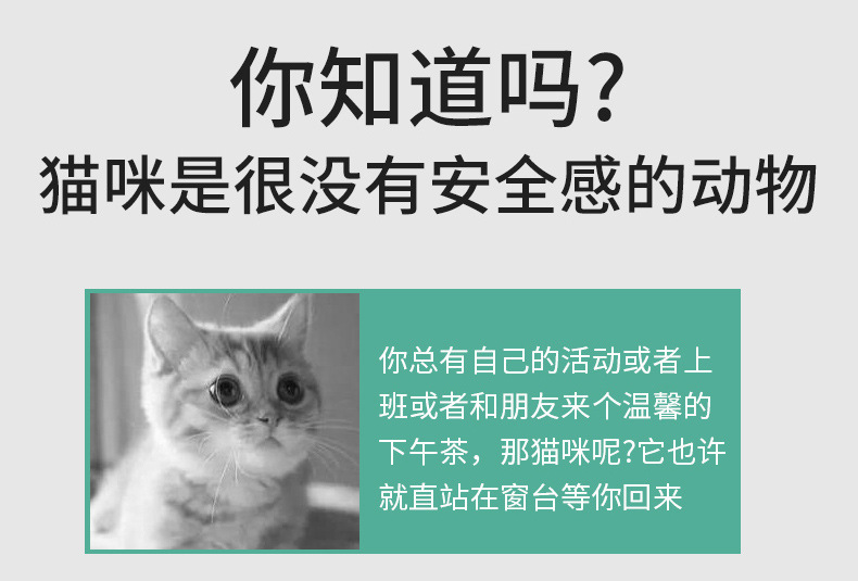 USB直充不锈钢迷你充电手电激光图案紫光逗猫棒猫癣自嗨猫咪用品详情5
