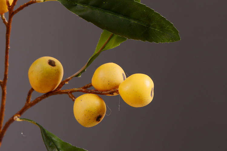Factory direct sales of artificial loquat fruit branches, Chinese modern and simple soft decoration, artificial berries wholesale, prosperity fruit pic 6