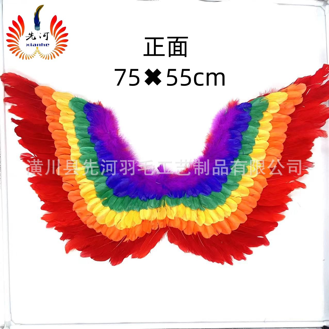 Rainbow-colored butterfly feathers angel wings Halloween Carnival Feather wings stage performance Auto show fashion show pic 2