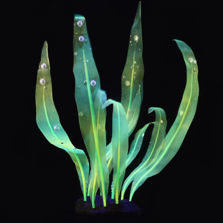 Aquarium fish tank landscape decoration Silicone simulation soft coral - kelp M25cm/S18cm pic 28
