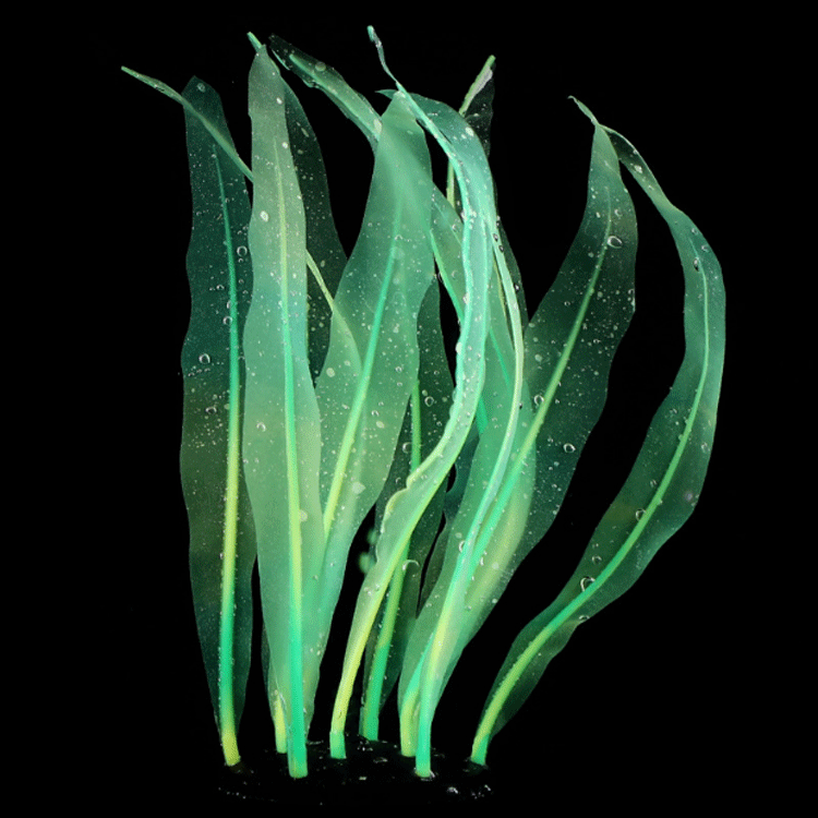 Aquarium fish tank landscape decoration Silicone simulation soft coral - kelp M25cm/S18cm pic 34
