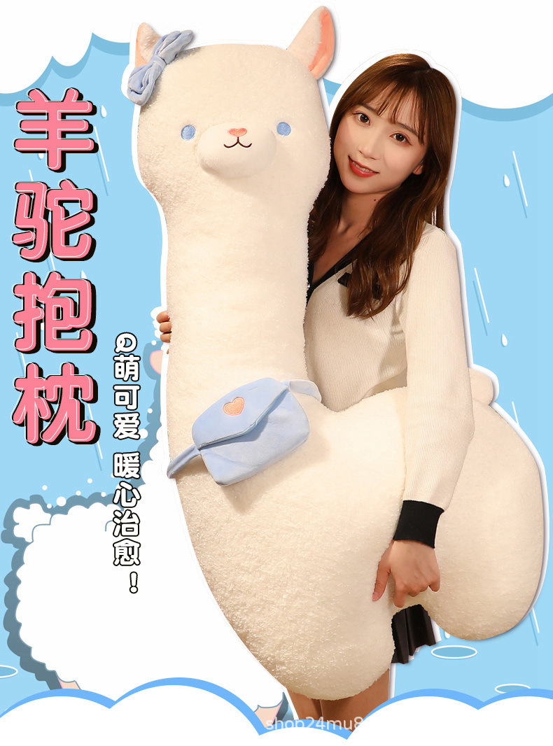 羊驼