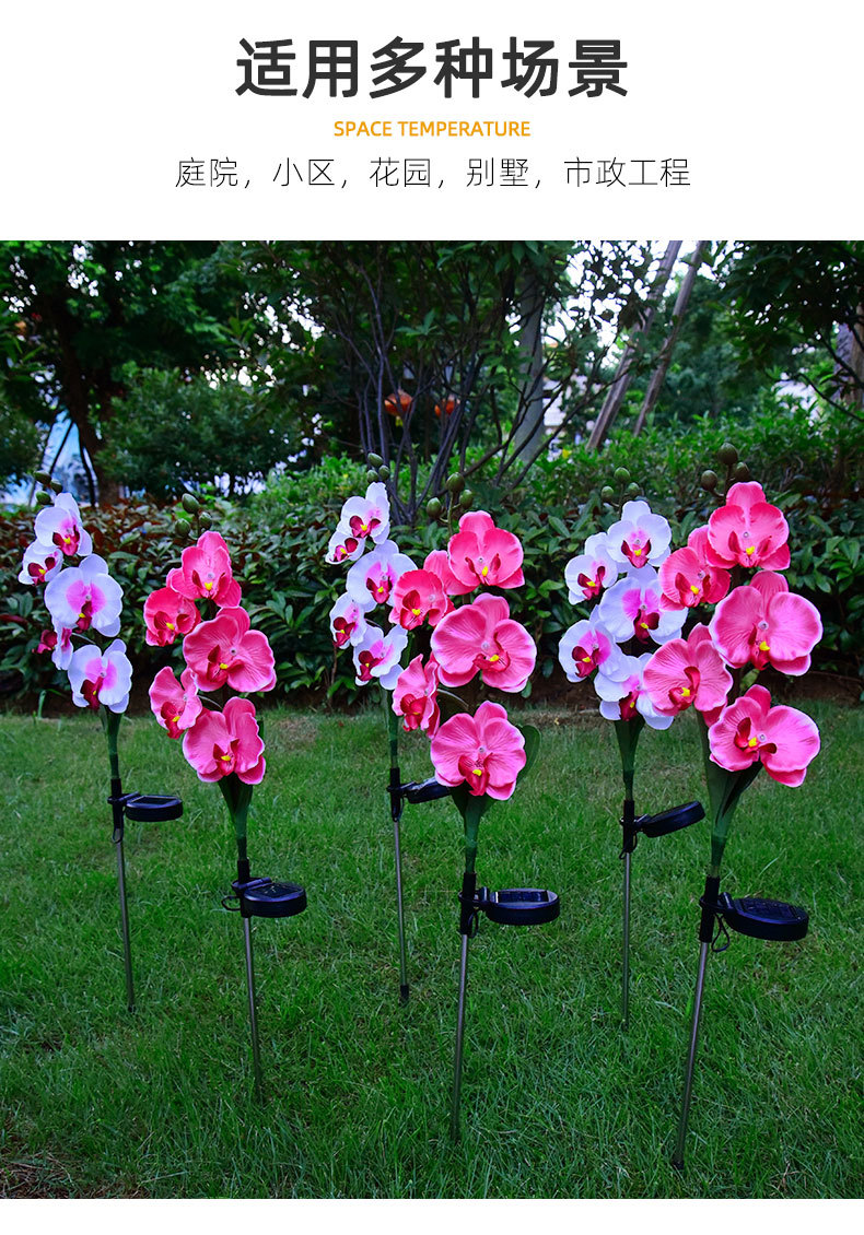 Cross-border solar lamps, simulated flower Phalaenopsis, ground insert lamps, outdoor courtyard lamps, landscape, festival and garden decorations pic 8