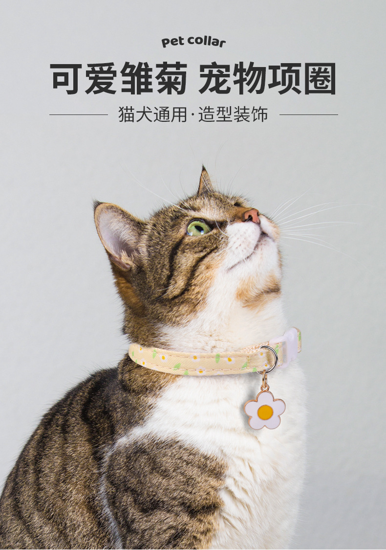 国潮小雏菊宠物项圈狗狗项链四季猫咪饰品配饰小型犬宠物用品批发详情5