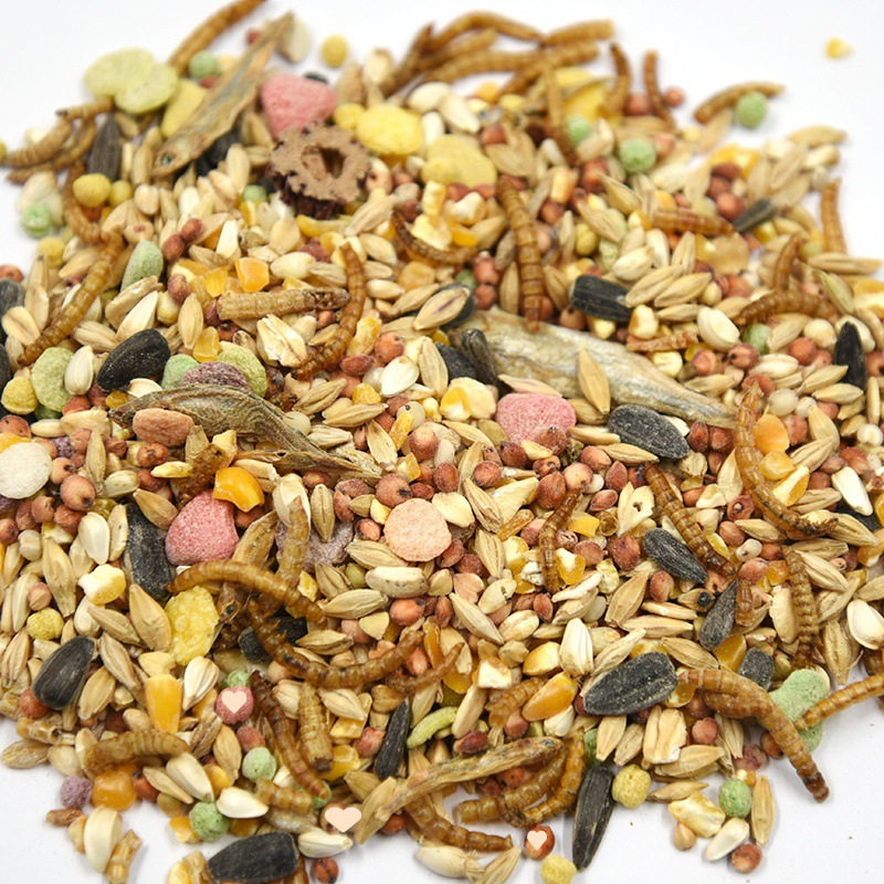 仓鼠粮批发粮食营养主粮罐装五谷海鲜混合金丝熊食物面包虫用品详情11