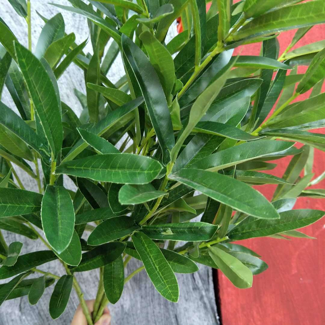 6-pronged olive branches, living room dining table, coffee table, vase, flower arrangement, wedding home flowers, wedding decoration, olive leaves pic 6