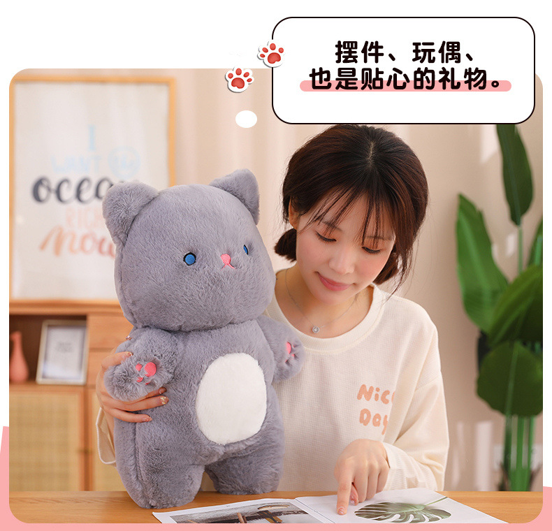 可爱布布猫毛绒玩具公仔娃娃玩偶软萌小猫咪儿童生日礼物毛绒公仔详情10