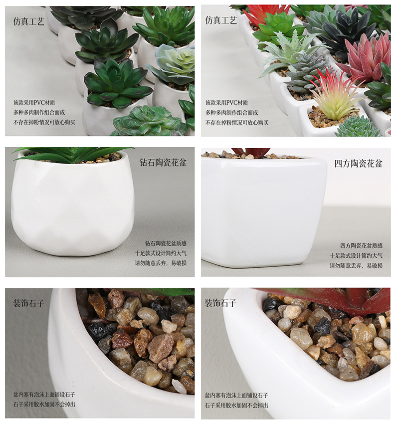 Amazon set of simulation succulent three-piece set with PVC box home decoration simulation plant potted plant gift pic 22