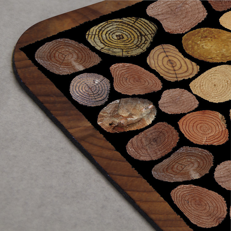 Cross-border bathroom, living room, bedroom, no-rinse floor MATS, entrance door, outdoor anti-slip foot MATS, dust removal door MATS pic 2