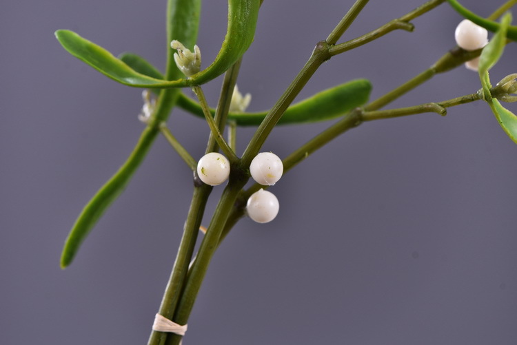 Factory direct sales of artificial mistletoe, wholesale of artificial plants, flower arrangement materials, window display, soft furnishings, pearl fruit and green plants pic 5