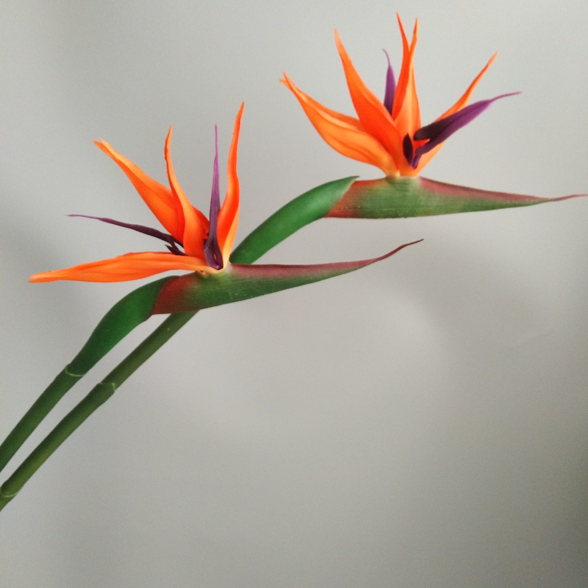 Soft rubber paradise Bird Crane Orchid New Chinese-style home model room decoration design, overseas wedding photography artificial flower pic 12