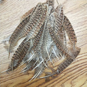 厂家批发珍珠鸡毛彩色羽毛 服装DIY手工工艺品饰品耳环材料野鸡毛详情10