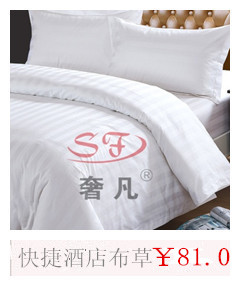 五星级酒店宾馆床上用品 磨毛被春秋被子单双人被芯详情1
