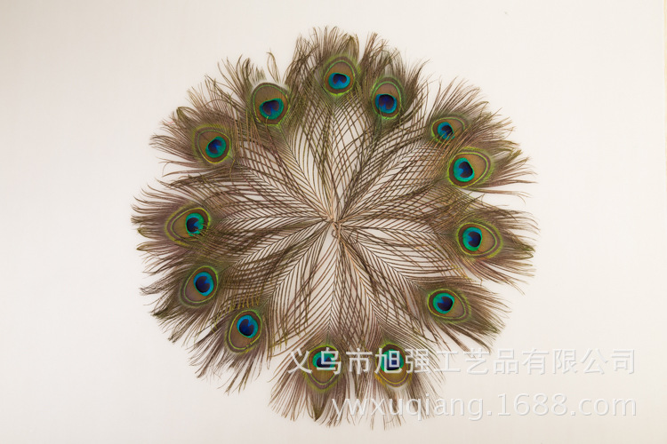 现货批发25-130cm孔雀羽毛 天然大眼睛孔雀毛diy手工饰品头饰装饰详情16