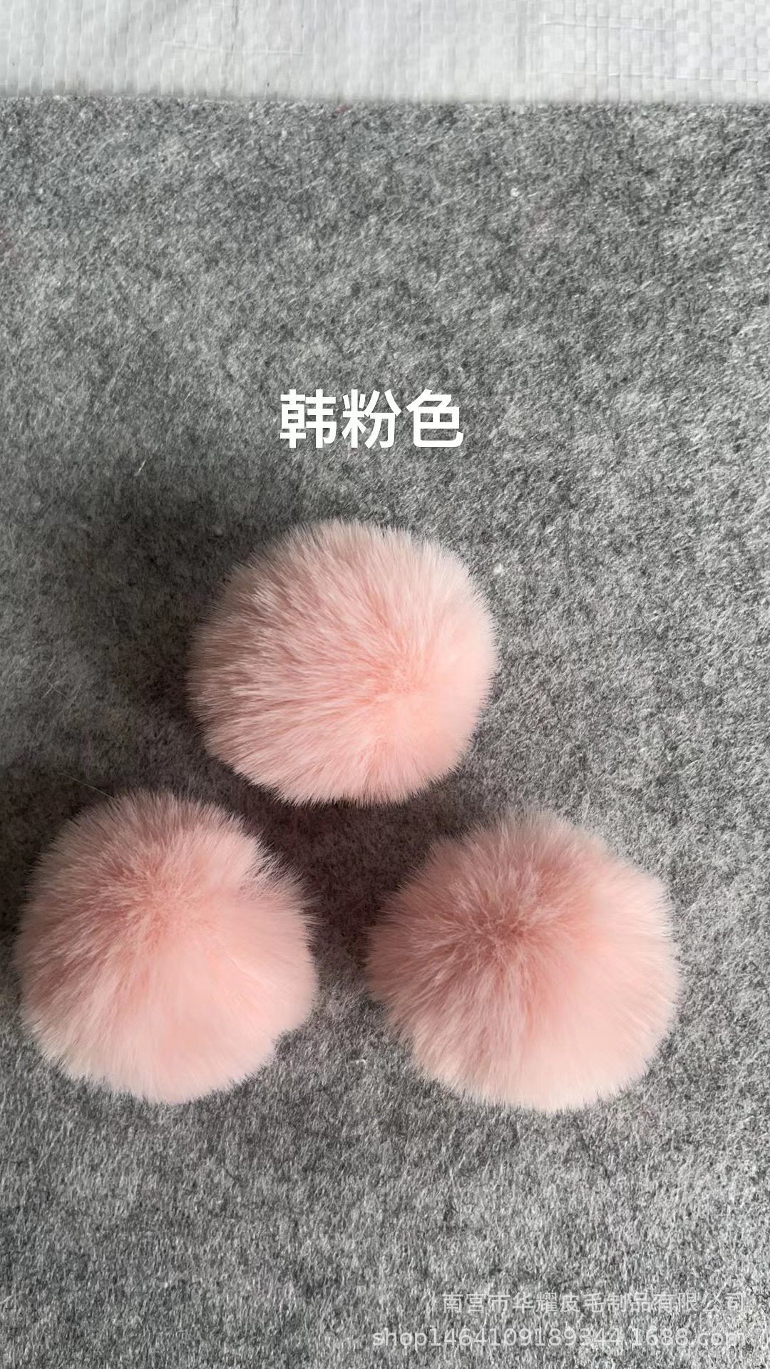 微信图片_20230419153051