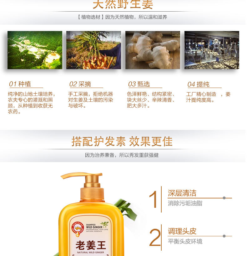 The manufacturer wholesals Old Ginger King ginger shampoo, anti-dandruff shampoo and hair lotion pic 12
