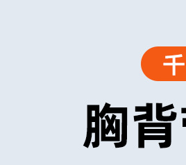 新款狗狗牵引绳 背心式宠物胸背带反光透气遛猫绳狗绳子现货批发详情3