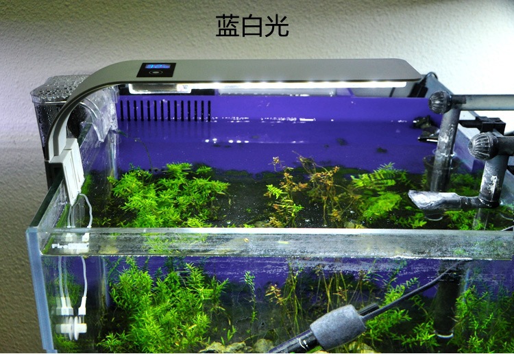 水族鱼缸灯养鱼灯水草养殖灯具高亮节能灯5w大功率水草照明灯详情50