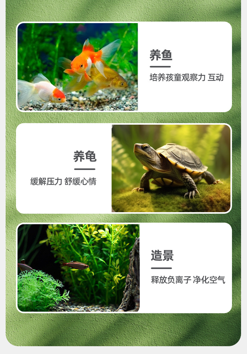 Wholesale transparent micro-landscape glass vase ornaments, hydroponic ecological bottles, diy moss tanks, succulent flower POTS, glass jars pic 25
