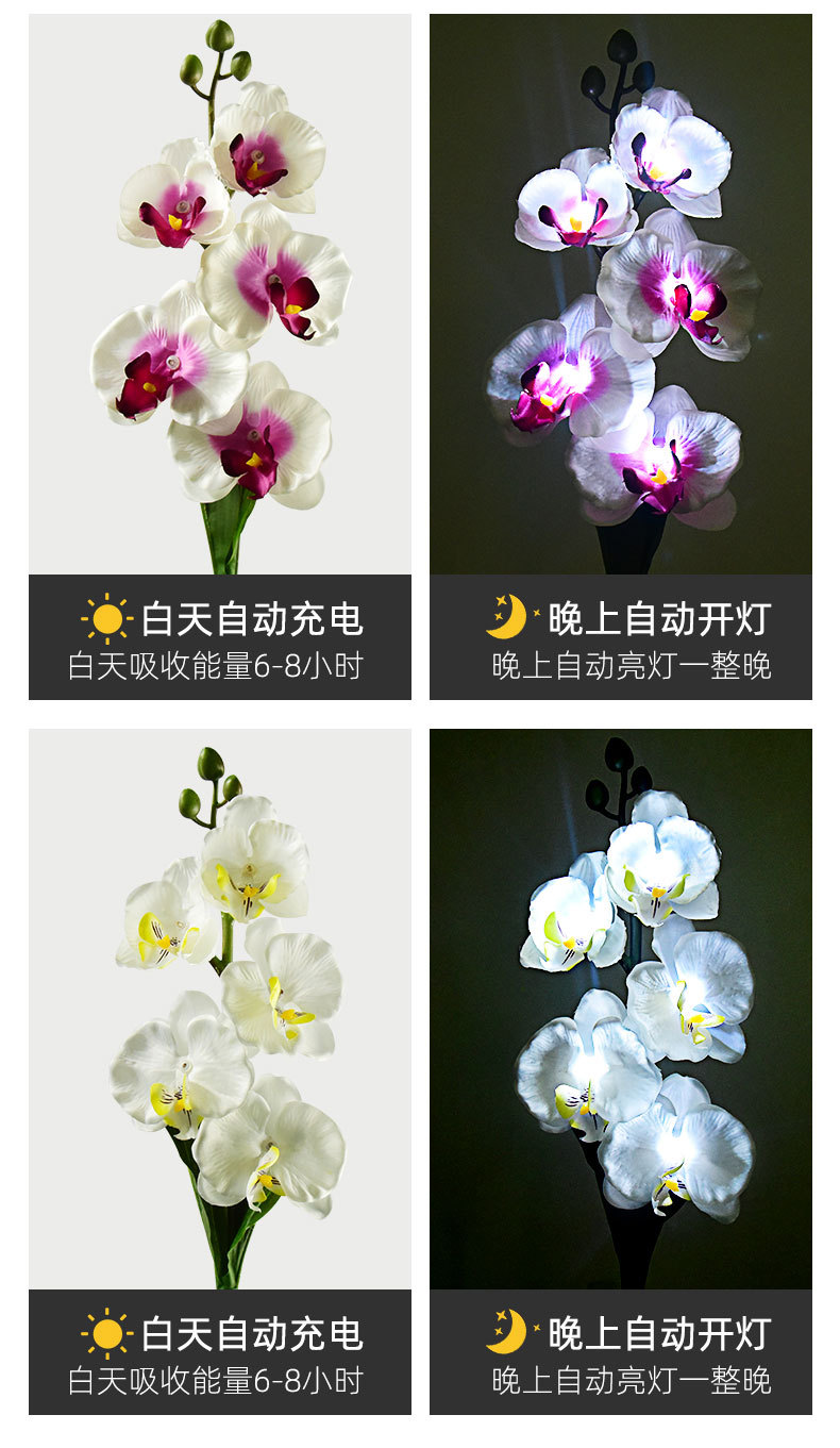 Cross-border solar lamps, simulated flower Phalaenopsis, ground insert lamps, outdoor courtyard lamps, landscape, festival and garden decorations pic 13