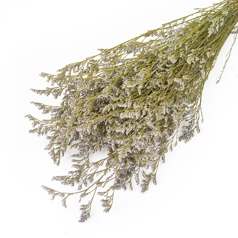 永生情人草批发干花云南干花花束保鲜花情人节礼物配材春节插花                               详情16