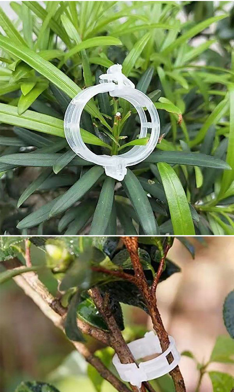 扶蔓夹绑蔓夹吊秧卡扣绿植夹藤蔓固定夹辣椒茄子固定器秧苗植物夹详情7