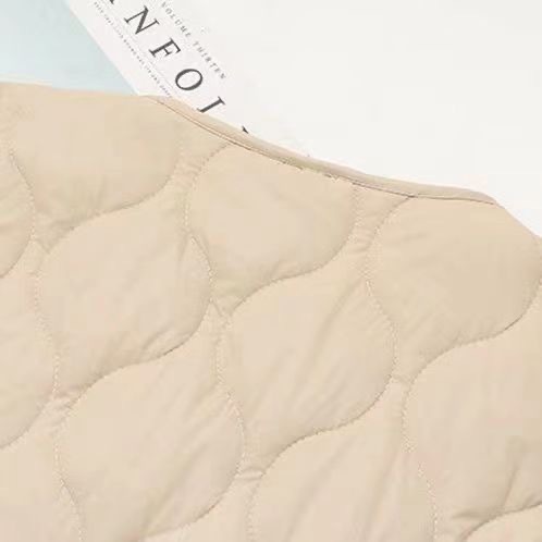 女士马甲2024新秋冬季新款加绒加厚保暖坎肩背心高档贴身面料详情7