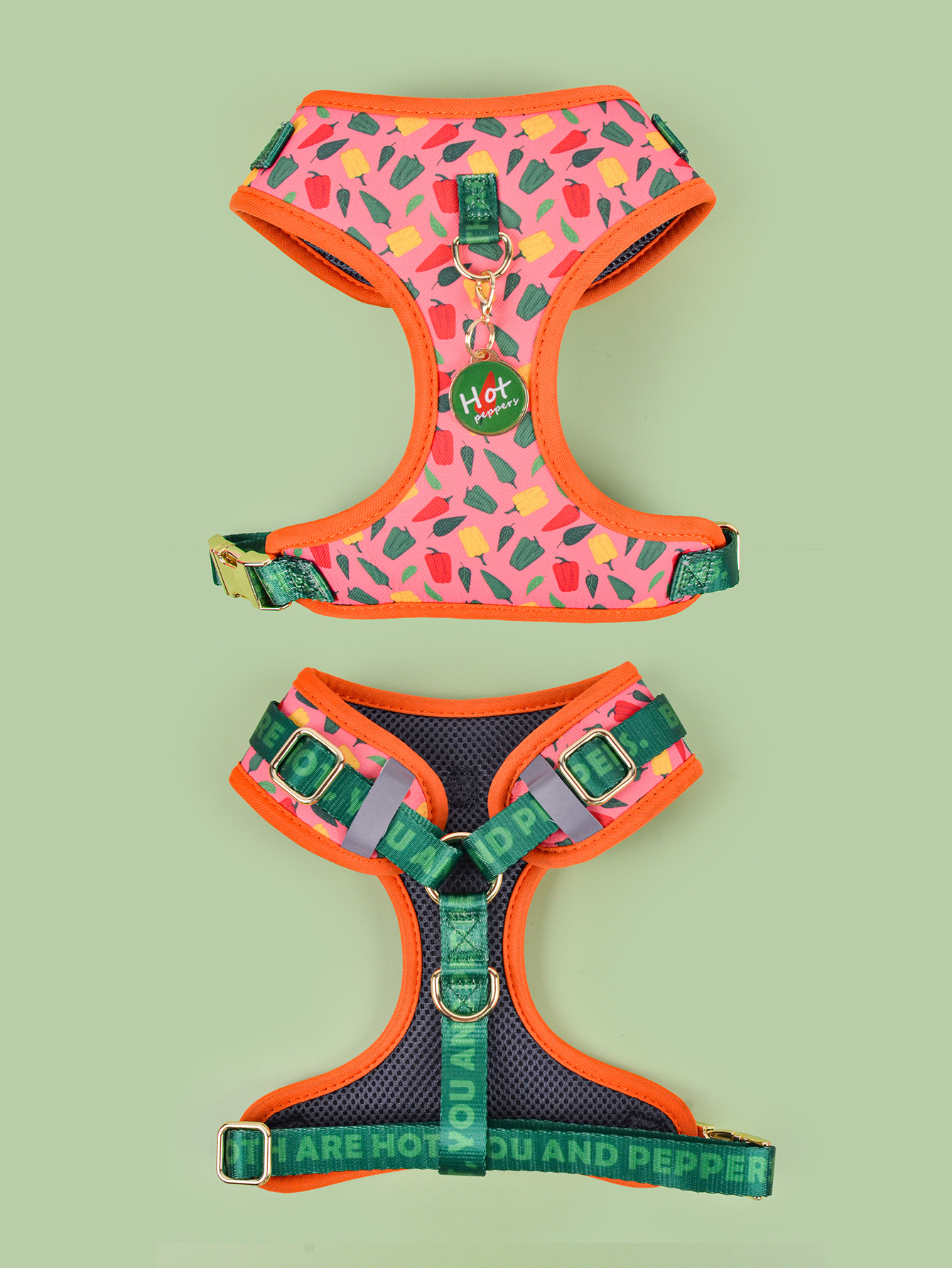 跨境新品夏日可爱时尚宠物胸背带吊坠适用于中大型宠物狗狗万圣节宠物详情15