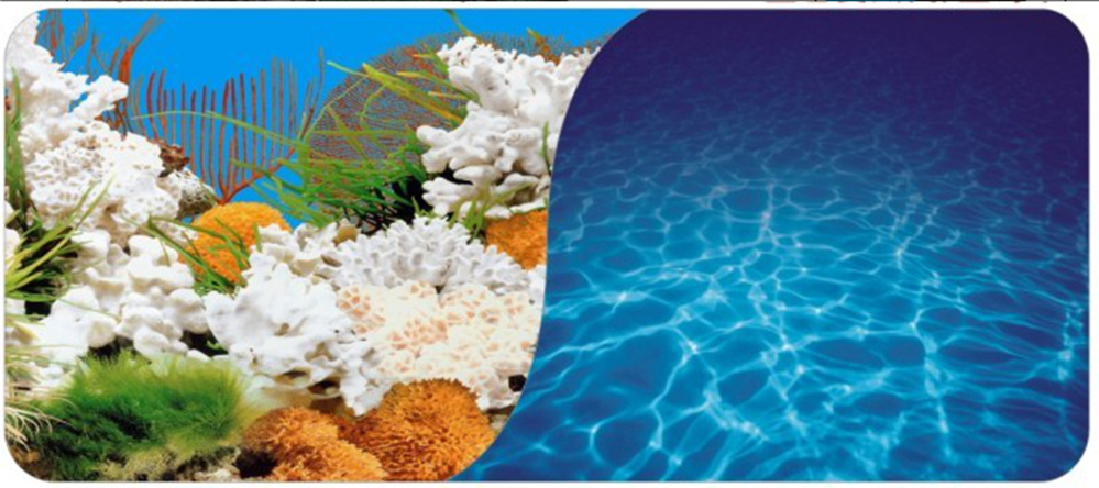 60cm double-sided thick fish tank background painting aquarium decoration background painting can be customized for multiple types of aquariums pic 5
