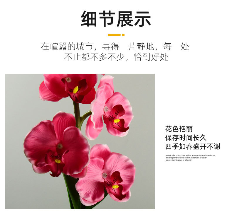 Cross-border solar lamps, simulated flower Phalaenopsis, ground insert lamps, outdoor courtyard lamps, landscape, festival and garden decorations pic 15