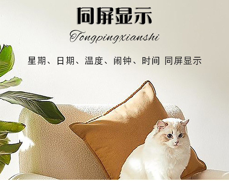 跨镜新品多功能时钟LED电子钟客厅清新挂钟可挂可立两用钟表6650详情22