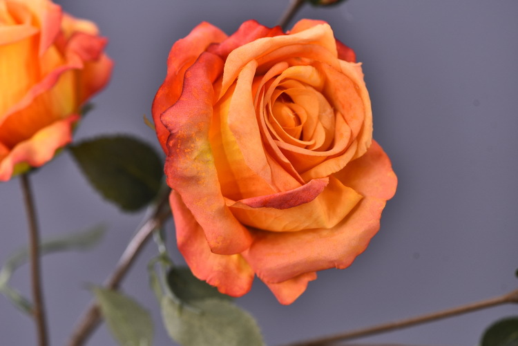 Factory wholesale of 5-head simulated rose with charred edges, retro Greek rose, living room, hotel and homestay photography props rose pic 19